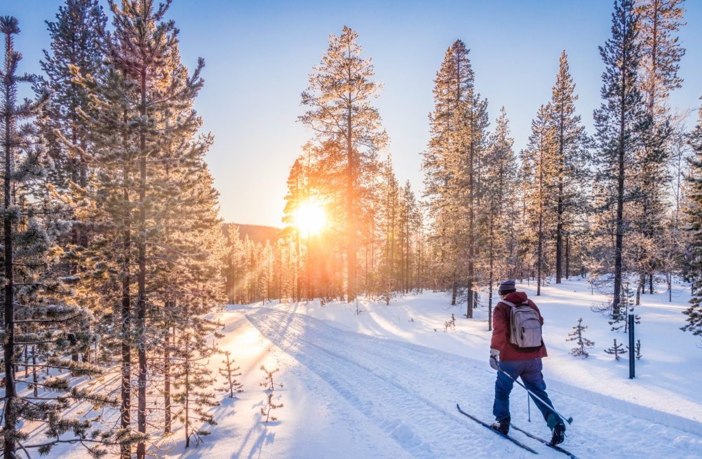 Skieur de fond en forêt au soleil couchant
